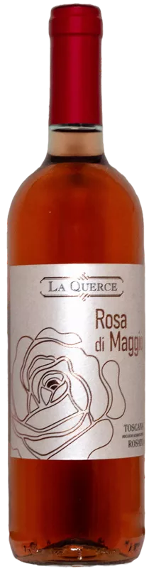 Rosa di Maggio